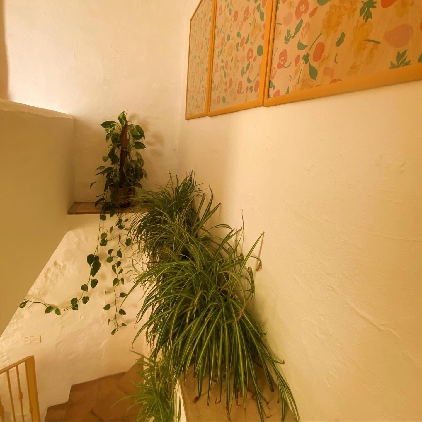 Romantic Ronda Garden Cottage Exterior photo